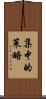 集中的策略 Scroll