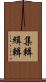集輯 Scroll