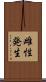 雌性発生 Scroll