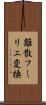 離散フーリエ変換 Scroll