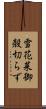 雪花菜 Scroll