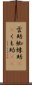 雲助;蜘蛛助(rK);くも助(sK) Scroll