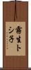 霧生トシ子 Scroll