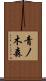 青ノ木森 Scroll