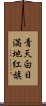 青天白日満地紅旗 Scroll