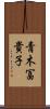 青木冨貴子 Scroll