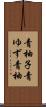 青柚子 Scroll