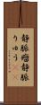静脈瘤 Scroll