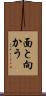 面と向かう Scroll