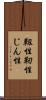 靱性 Scroll