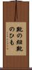 靴の紐 Scroll
