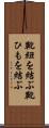 靴紐を結ぶ Scroll