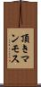 頂きマンモス Scroll