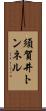 須賀井トンネル Scroll