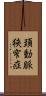 頚動脈狭窄症 Scroll