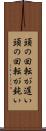 頭の回転が遅い Scroll