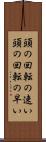 頭の回転の速い Scroll