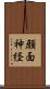 顔面神経 Scroll