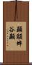 顳顬 Scroll