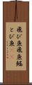 飛び魚 Scroll