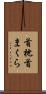 首枕 Scroll