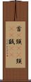首(P) Scroll