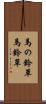 馬の鈴草 Scroll