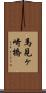 馬見ヶ崎橋 Scroll