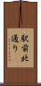 駅前北通り Scroll