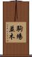 駒場並木 Scroll