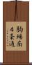駒場南４条通 Scroll