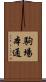 駒場本通 Scroll
