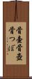 骨壷 Scroll