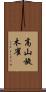 高山旋木雀 Scroll