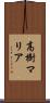高樹マリア Scroll