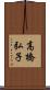 高橋弘子 Scroll