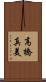 高橋真美 Scroll