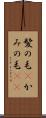 髪の毛(P) Scroll