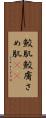 鮫肌 Scroll