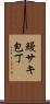 鰻サキ包丁 Scroll