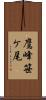 鷹峰笹ケ尾 Scroll