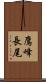 鷹峰長尾 Scroll