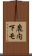 鹿内下モ Scroll