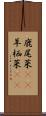 鹿尾菜(rK) Scroll