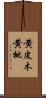 黄皮木 Scroll