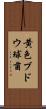 黄色ブドウ球菌 Scroll