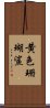 黄色珊瑚鯊 Scroll