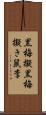 黒梅擬 Scroll