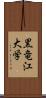 黒竜江大学 Scroll