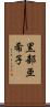 黒部亜希子 Scroll